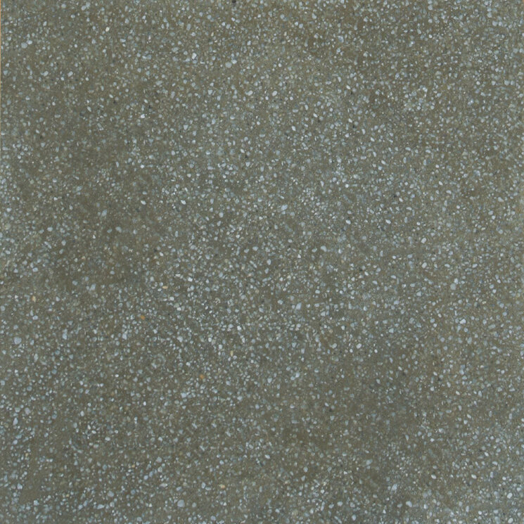 Плитка (29.75x29.75) TERRAZZO MOSS NATURAL  G-1284 - Terrazzo з колекції Terrazzo Apavisa