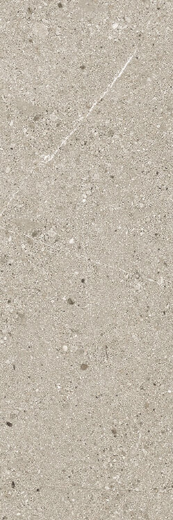 Плитка 10x30 Greige Nt Rt - Ease - 163543 з колекції Ease Ricchetti