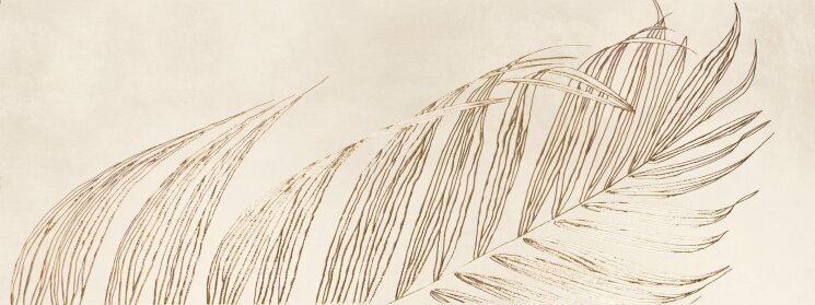 Декор 45x120 D?cor/Intuition(1) Bone-Wall B-A035054 з колекції Wall B Ape