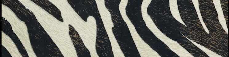 Бордюр (10x40) Zeb 140 F. Do Bianco Zebra - Zoo Design з колекції Zoo Design Horus Art
