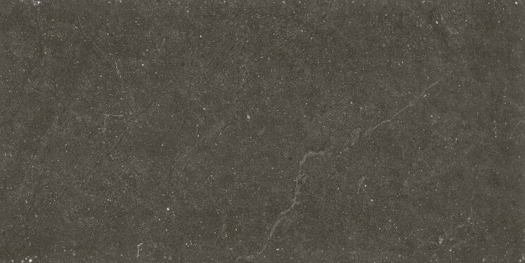 Плитка 60x120 Omnistone Jet Matt Ret-Omnistone-312BD391U1 з колекції Omnistone Revigres