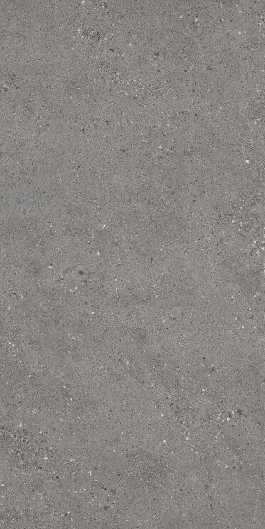 Плитка 60,4x120,8 Frammenti 60121/20 Fumo Ret - Frammenti - PF00017890 з колекції Frammenti Sintesi