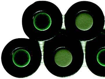 Мозаїка (9.6x25.9) V31C Fascia Ecrue (ebano/salvia/verde) - Decors з колекції Decors Zillig