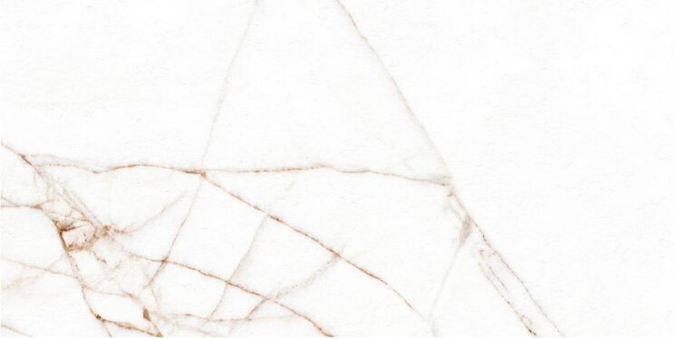 MELBOURNE POLISHED RECT. 60x120 - B54 з колекції MELBOURNE  ITT CERAMIC