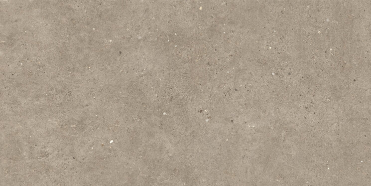 Плитка 60x120 Silver Grain Taupe Ant. Sq.2 Cm - Silver Grain - SI04BA2 з колекції Silver Grain Impronta Плитка 60x120 Silver Grain Taupe Ant. Sq.2 Cm - Silver Grain - SI04BA2 з колекції Silver Grain Impronta