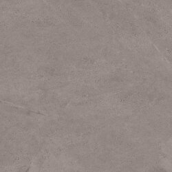 Плитка (60x60) 2566CT4BF Grey CT4 NR - Concept Плитка (60x60) 2566CT4BF Grey CT4 NR - Concept