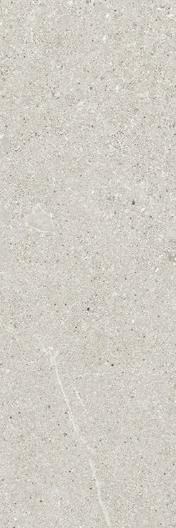 Плитка 10x30 Light Grey Nt Rt - Ease - 163545 з колекції Ease Ricchetti Плитка 10x30 Light Grey Nt Rt - Ease - 163545 з колекції Ease Ricchetti