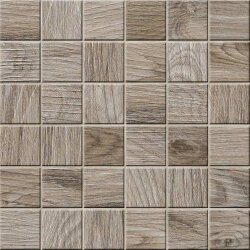 Мозаїка (30x30) ESP555K Esp Mosaico 5X5Cinnamon - My Space Мозаїка (30x30) ESP555K Esp Mosaico 5X5Cinnamon - My Space