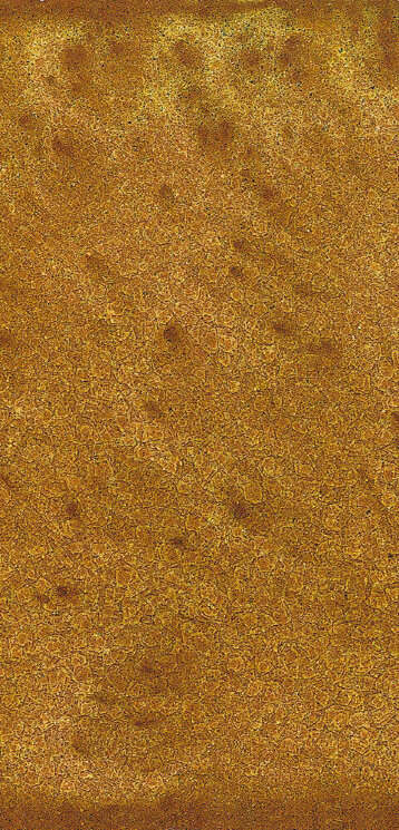 Плитка (12.5x25) Oro Cronos - Terre Del Cielo з колекції Terre Del Cielo Giovanni De Maio