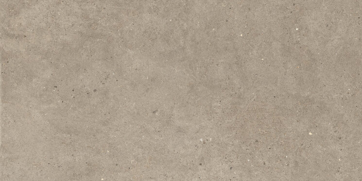Плитка 60x120 Silver Grain Taupe Antislip Sq. - Silver Grain - SI04BAA з колекції Silver Grain Impronta