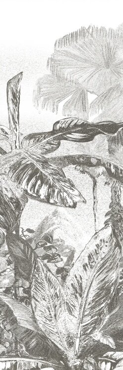 Плитка 100x300 BLCA121D Velvet touch Bulbo Daintree з колекції Daintree Bulbo Плитка 100x300 BLCA121D Velvet touch Bulbo Daintree з колекції Daintree Bulbo