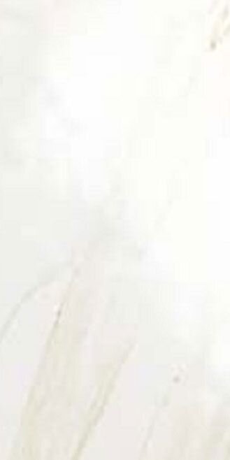 Плитка ректиф. (29х58) MK0L EVOLUTION MARBLE CALACATTA LUX з колекції Evolution Marble Marazzi Плитка ректиф. (29х58) MK0L EVOLUTION MARBLE CALACATTA LUX з колекції Evolution Marble Marazzi