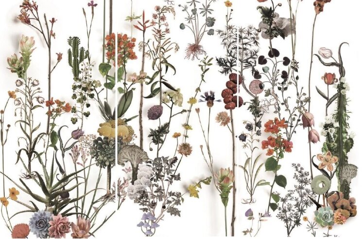 Декор Franz 60x120 Paper41 Lux 41zero42 з колекції Paper41 Lux 41zero42 Декор Franz 60x120 Paper41 Lux 41zero42 з колекції Paper41 Lux 41zero42