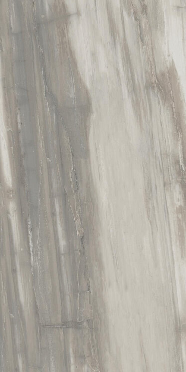 Плитка (30x60) PO340 Petrified Wood Grey - Petrified Wood з колекції Petrified Wood Ascot