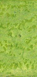 Плитка (12.5x25) Verde Idra - Terre Del Cielo