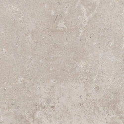 Плитка TIMELESS 600 TAUPE RET - 60x60 PF00020183 Timeless