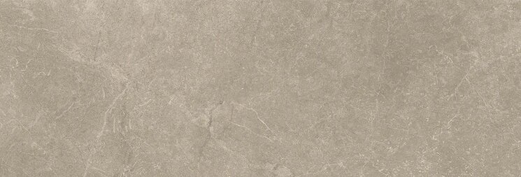 Плитка 25x75 STORM WALL EARTH (AZJ) /ARG07 S Argenta Storm з колекції Storm Argenta