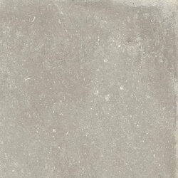 Плитка Heritage Taupe Ret - 60x60 SR810102 Heritage Плитка Heritage Taupe Ret - 60x60 SR810102 Heritage