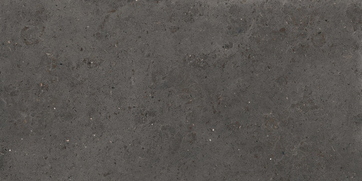 Плитка 50x100 Luxdark Nat Rect - Le Pietre d`Europa - 151013 з колекції Le Pietre d`Europa La Fabbrica
