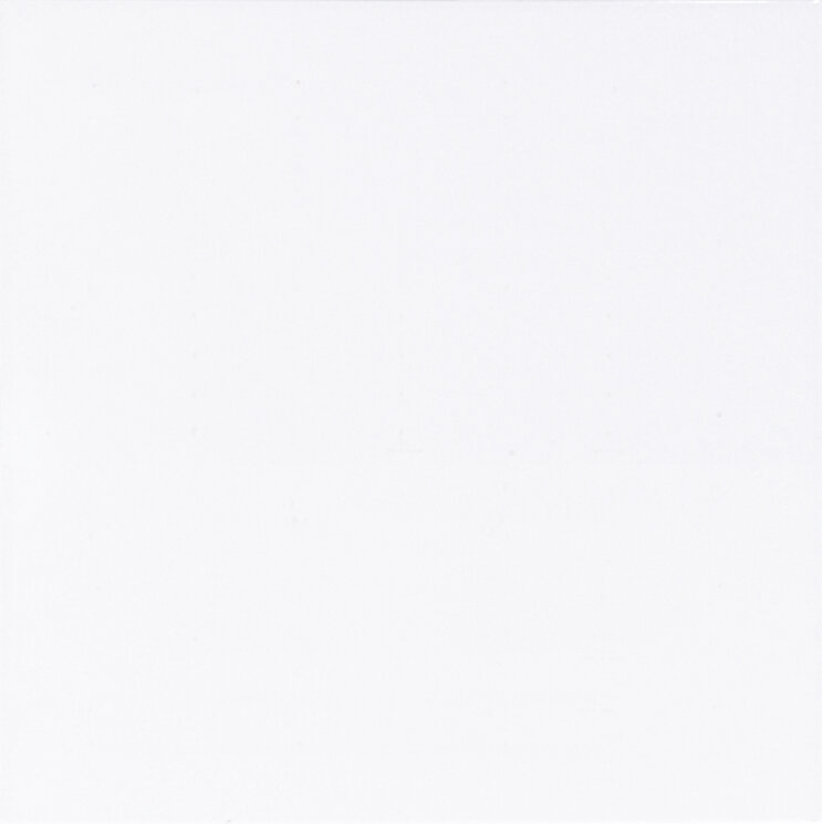 Плитка 20x20 Mono Bianca - Ricordi - M1000 з колекції Ricordi Brennero