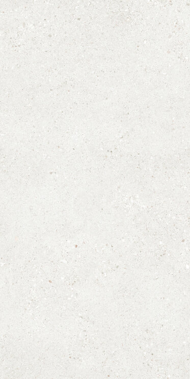 Плитка 60x119,8 Frammenti Tech 60119 Bianco Ret - Frammenti - PF00017664 з колекції Frammenti Sintesi