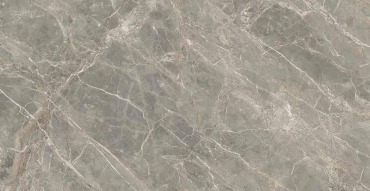 Плитка Gris Glossy 120x240 Etoile Rex з колекції Etoile Rex