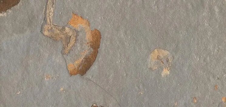 Плитка 10x20 1004967 Sierra Natural Isla Tiles Sierra з колекції Sierra Isla Tiles