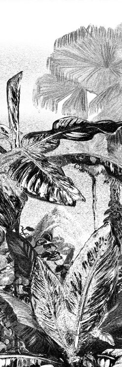 Плитка 100x300 BLCA122 D Glossy Bulbo Daintree з колекції Daintree Bulbo