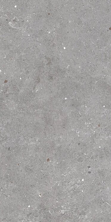 Плитка 22.5x45 1868251 Ash Grip Sichenia Ar Gent з колекції Ar_Gent Sichenia