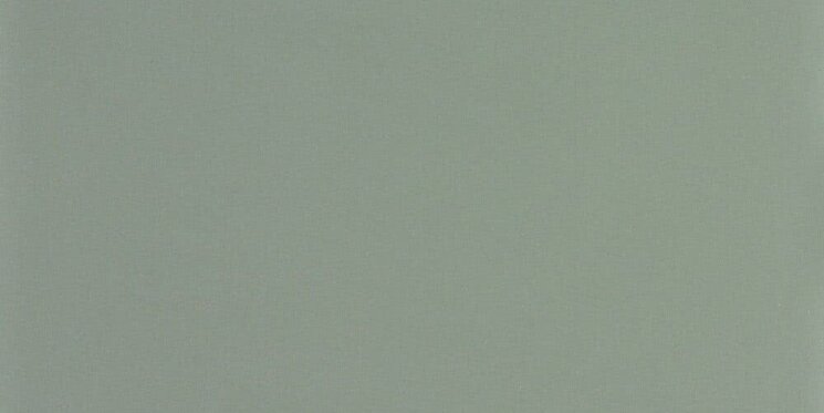 Плитка (39.9x80) Cinza Claro Acetinado Rect - Tecnica з колекції Tecnica Aleluia Плитка (39.9x80) Cinza Claro Acetinado Rect - Tecnica з колекції Tecnica Aleluia