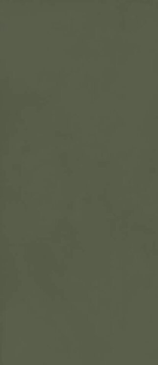 Плитка 120x278 MALX Grande Resin Look Verderame SatinRt Marazzi Grande Resin Look з колекції Grande Resin Look Marazzi