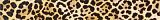 Бордюр (5x40) Leo 052 F. Do Giallo Leopardo - Zoo Design