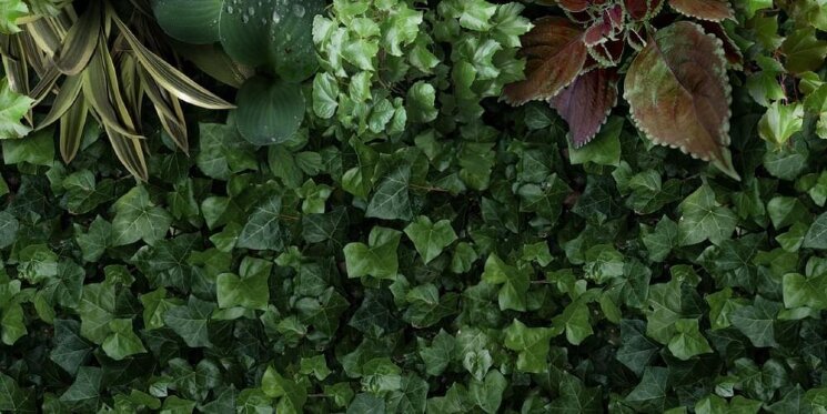 Декор Jane A 50x100 Paper41 Pro 41zero42 з колекції Paper41 Pro 41zero42 Декор Jane A 50x100 Paper41 Pro 41zero42 з колекції Paper41 Pro 41zero42