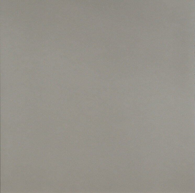 Плитка (120x120) Pudn02 Neutral Rett. Grigio - Dechirer з колекції Dechirer Mutina