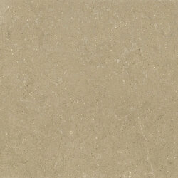 Плитка HWD 01 Beige Grip Rett - 120x120 GRWD01GRIR Wild