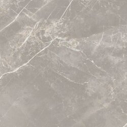 Плитка 60x60 Elemen. St. Grey Dolomia Nat Ret - Elemental Stone of Cerim - 766948