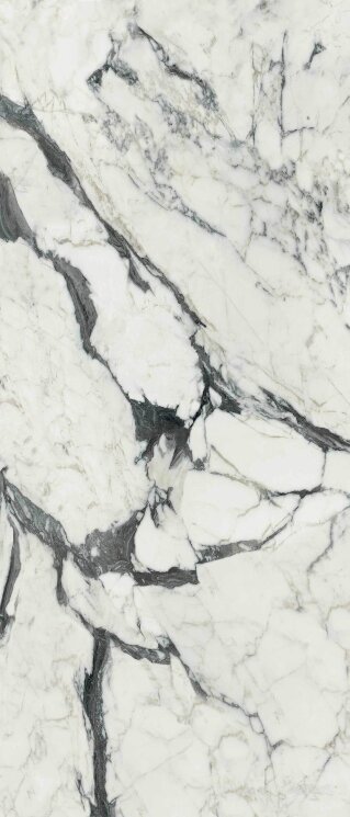 Плитка 120x280 Les Bijoux Calacatta Altissimo Blanc Glossy - Les Bijoux de Rex - 765697 з колекції Les Bijoux de Rex Rex