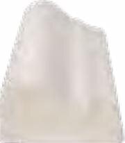 Карниз Oyster Large Moulding 6.4x25.8 Classic Winchester з колекції Classic Winchester Карниз Oyster Large Moulding 6.4x25.8 Classic Winchester з колекції Classic Winchester