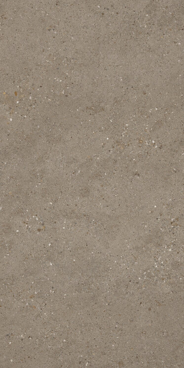 Плитка 60x119,8 Frammenti Tech 60119 Terra Ret - Frammenti - PF00017666 з колекції Frammenti Sintesi