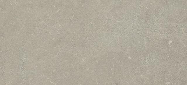 Плитка Neutral Gris 120x240 Esprit Rex з колекції Esprit Rex