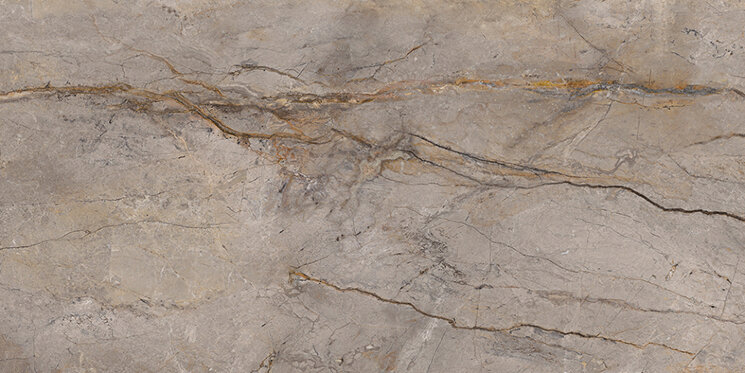 Плитка 59,55*119,3 Wild Forest Grey Polished Wild Forest Apavisa Porcelanico з колекції Wild Forest Apavisa Плитка 59,55*119,3 Wild Forest Grey Polished Wild Forest Apavisa Porcelanico з колекції Wild Forest Apavisa