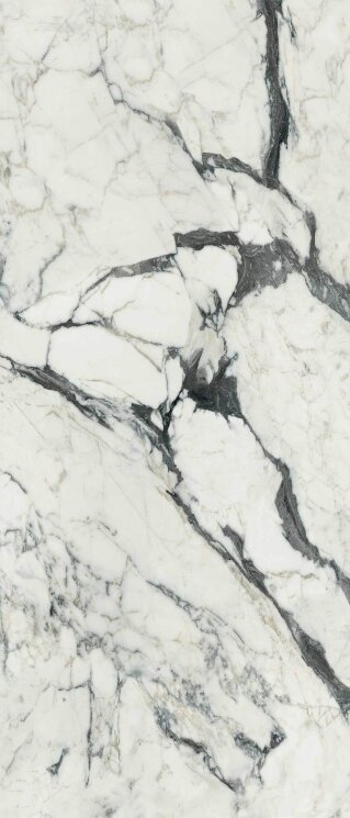 Плитка 120x280 Les Bijoux Calacatta Altissimo Blanc Matte - Les Bijoux de Rex - 765682 з колекції Les Bijoux de Rex Rex