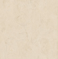 60x60 Fabula marfil r10 rt MN4Q