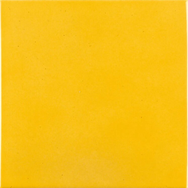 Плитка 20x20 Giallo Arancio Luci Vietrese Giovanni De Maio Cotto di Ogliara з колекції Cotto di Ogliara Giovanni De Maio Плитка 20x20 Giallo Arancio Luci Vietrese Giovanni De Maio Cotto di Ogliara з колекції Cotto di Ogliara Giovanni De Maio