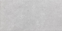 Плитка 30x60,4 3060 Silver - Ecoproject - PF00012821