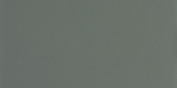 Плитка (39.9x80) Cinza Escuro Natural Rect - Tecnica з колекції Tecnica Aleluia