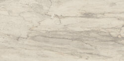 Плитка (30x60) 634D0R White Bark Rett L - Petrified Tree