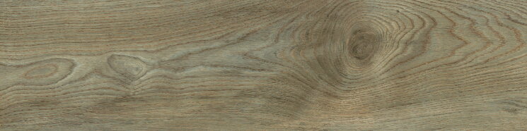 Плитка 30x120 1 Barrel Nocciola Silverwood - Barrel - 42000009 з колекції Barrel Mo.da