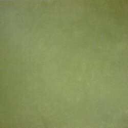Плитка (59.55x59.55) Anarchy Green Natural 60x60 - Anarchy