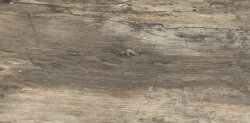 Плитка (30x60) 634D1R Beige Bark Rett L - Petrified Tree
